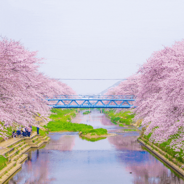 10 แอพประมวลผลรูปภาพฟรีที่แนะนำสำหรับการประมวลผลโมเสกและเบลอ