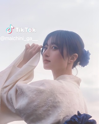 before-tiktok-watremark remove