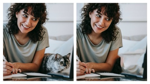Remove Animal or Pets from Photos - Cat